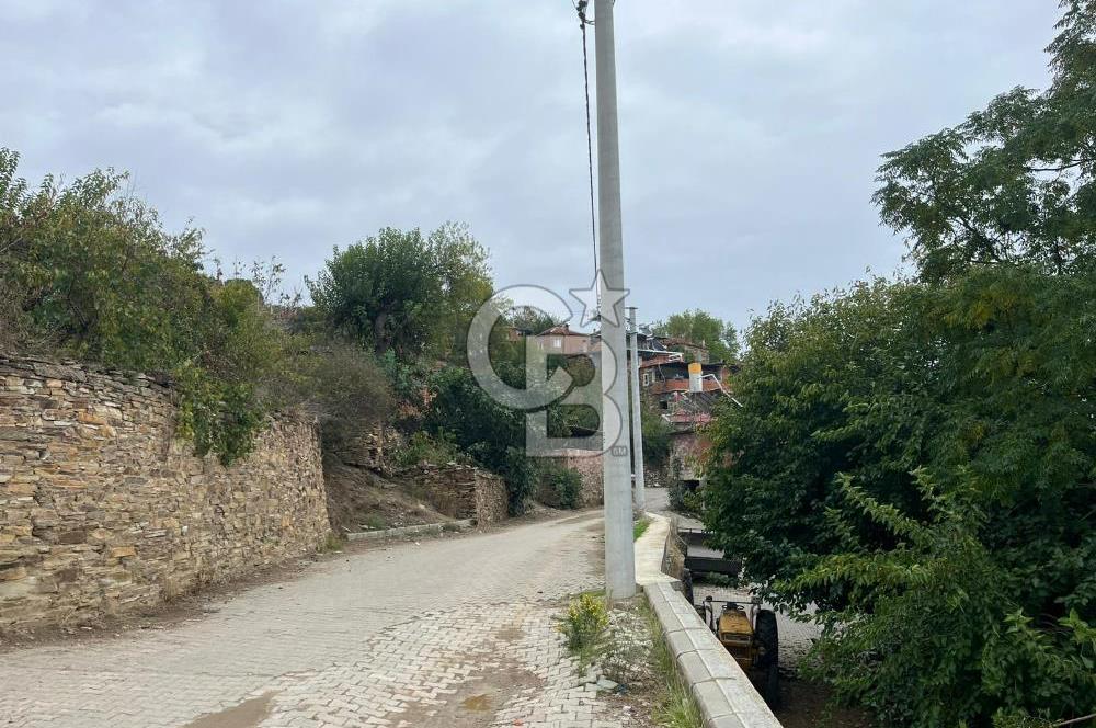 İzmir Bayındır Söğütören Satılık Taş Ev Ve Arsası