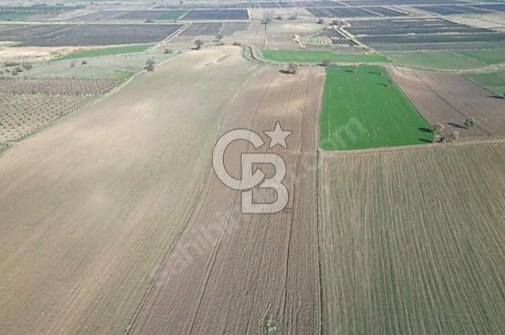 EZİNE MAHMUDİYE DE 98.500 M2 SATILIK ARAZİ