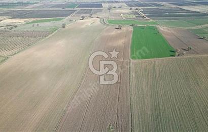 EZİNE MAHMUDİYE DE 98.500 M2 SATILIK ARAZİ