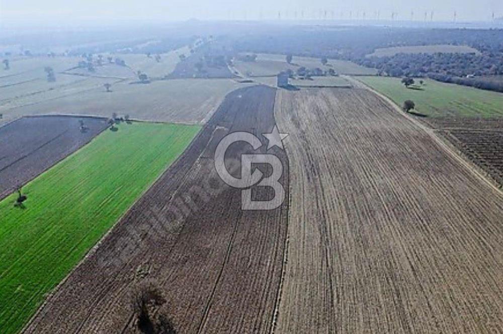 EZİNE MAHMUDİYE DE 98.500 M2 SATILIK ARAZİ