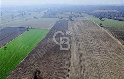 EZİNE MAHMUDİYE DE 98.500 M2 SATILIK ARAZİ