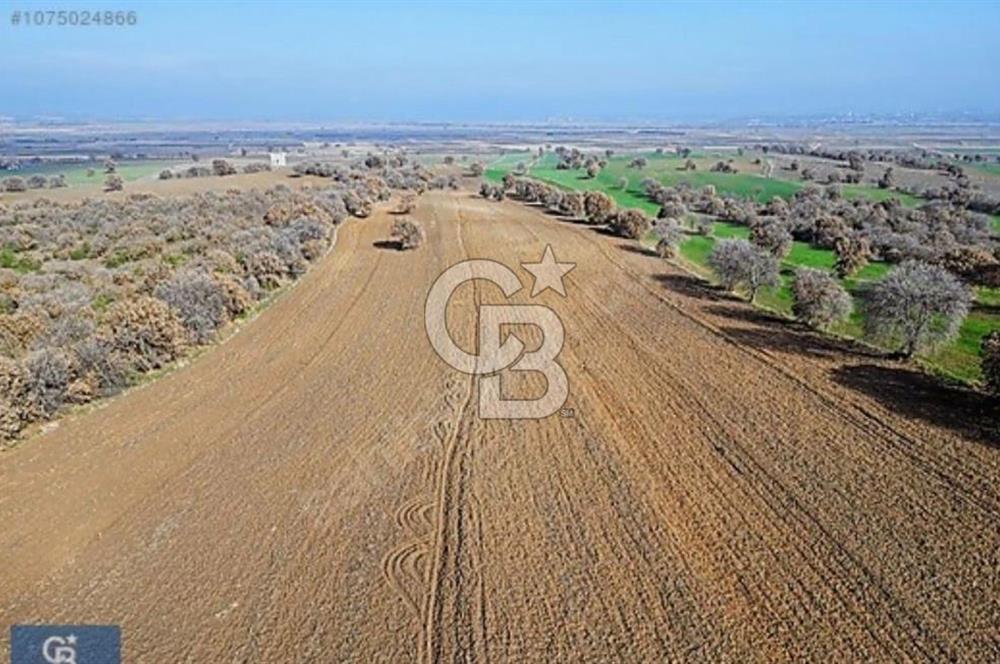EZİNE MAHMUDİYE DE 98.500 M2 SATILIK ARAZİ