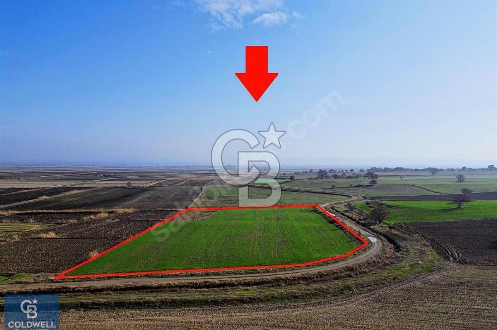 EZİNE MAHMUDİYE DE 98.500 M2 SATILIK ARAZİ