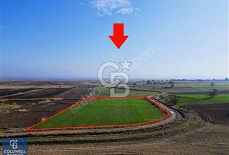 EZİNE MAHMUDİYE DE 98.500 M2 SATILIK ARAZİ - 4 - 325682