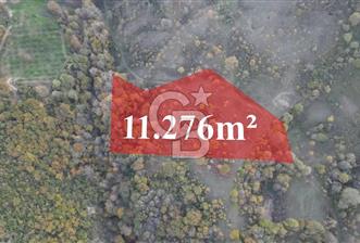 DEREKÖY DE %25 PEŞİN KALANI 12 AY VADELİ GELECEĞİ PARLAK TARLA - 2 - 325739