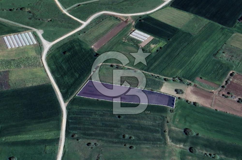 CB KİNG'DEN ÜÇPINAR MAHALLESİ 4649 m² SATILIK TARLA