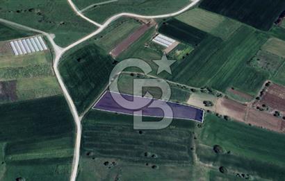 CB KİNG'DEN ÜÇPINAR MAHALLESİ 4649 m² SATILIK TARLA