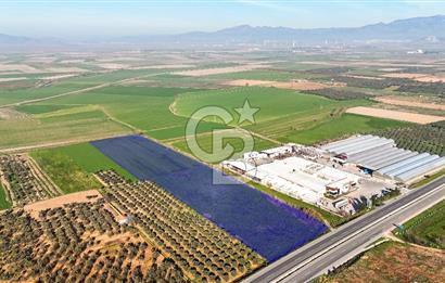 İZMİR ÇANAKKALE YOLUNA SIFIR I BERGAMA'DA KAÇIRILMAYACAK YATIRIM