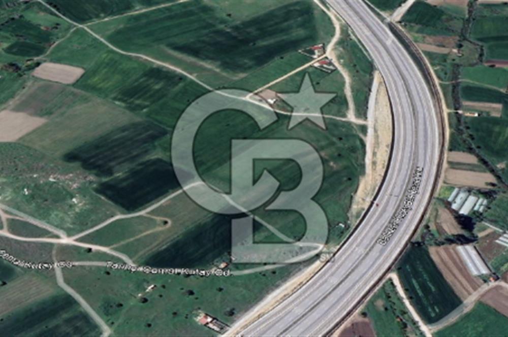 CB KİNG'DEN ÜÇPINAR MAHALLESİ 4649 m² SATILIK TARLA