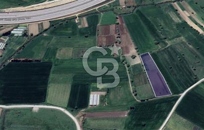 CB KİNG'DEN ÜÇPINAR MAHALLESİ 4649 m² SATILIK TARLA