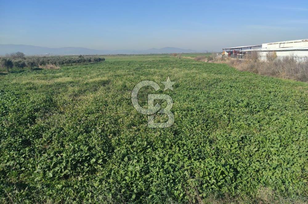 İZMİR ÇANAKKALE YOLUNA SIFIR I BERGAMA'DA KAÇIRILMAYACAK YATIRIM