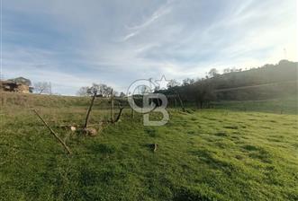 Çanda köydibi arazi - 12 - 325777