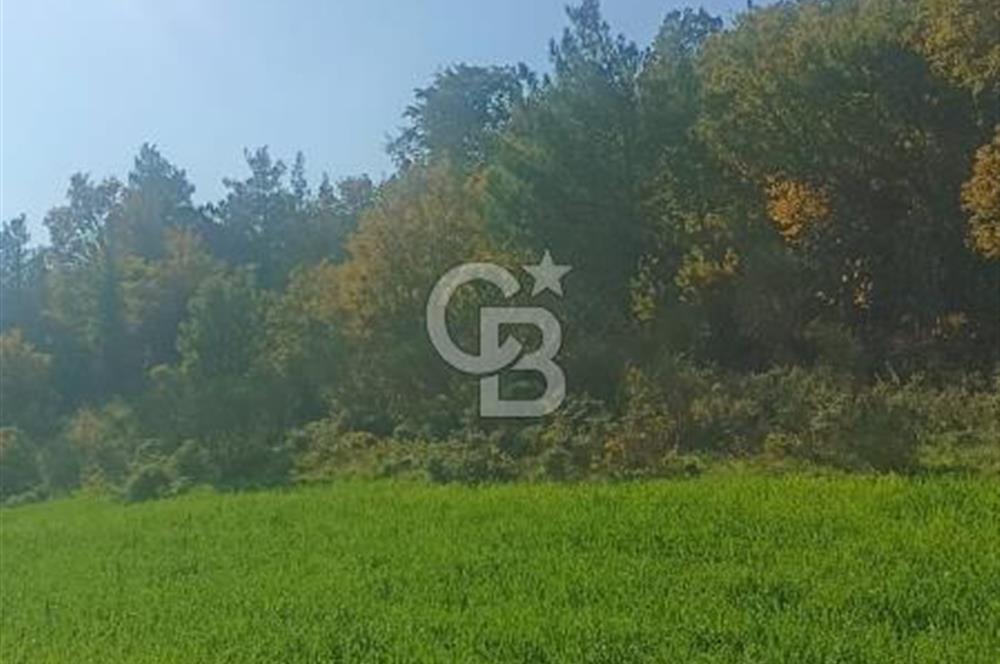 Bergamada köye 200 m mesafede şahane çiftlik arazisi