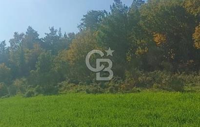 Bergamada köye 200 m mesafede şahane çiftlik arazisi