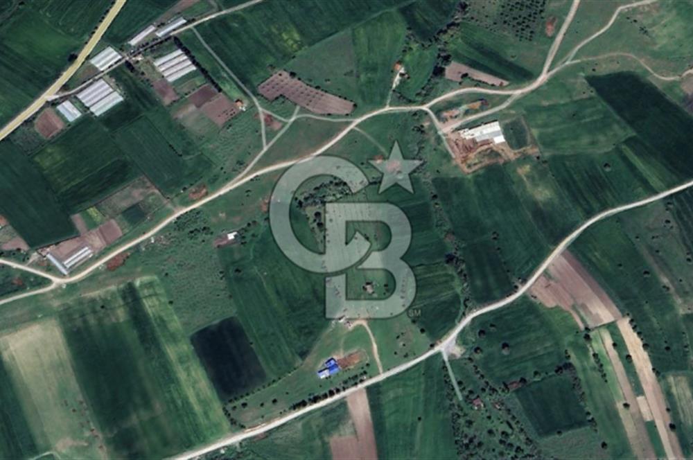 CB KİNG'DEN ÜÇPINAR MAHALLESİ 4649 m² SATILIK TARLA