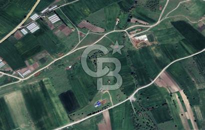 CB KİNG'DEN ÜÇPINAR MAHALLESİ 4649 m² SATILIK TARLA