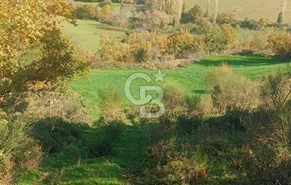 Bergamada köye 200 m mesafede şahane çiftlik arazisi