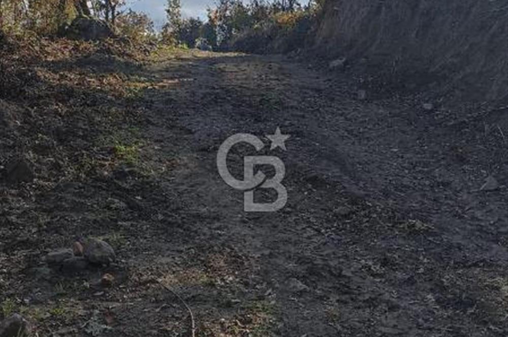 Bergamada köye 200 m mesafede şahane çiftlik arazisi