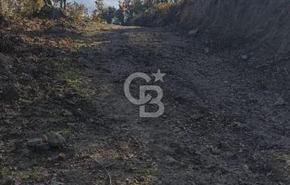 Bergamada köye 200 m mesafede şahane çiftlik arazisi