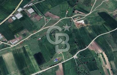 CB KİNG'DEN ÜÇPINAR MAHALLESİ 4649 m² SATILIK TARLA