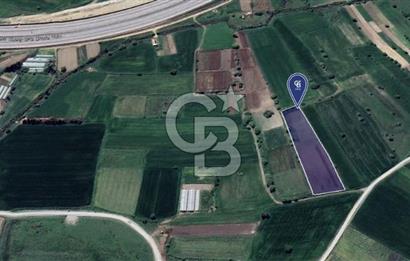 CB KİNG'DEN ÜÇPINAR MAHALLESİ 4649 m² SATILIK TARLA