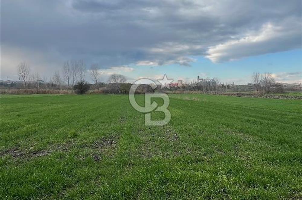 Edirne Merkez Havsa Yoluna 150 Metre Mesafede Satılık Tarla