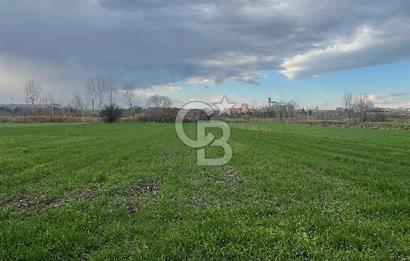 Edirne Merkez Havsa Yoluna 150 Metre Mesafede Satılık Tarla