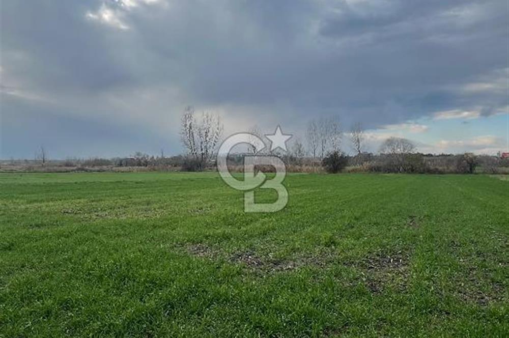 Edirne Merkez Havsa Yoluna 150 Metre Mesafede Satılık Tarla