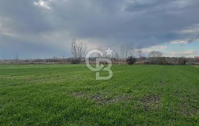 Edirne Merkez Havsa Yoluna 150 Metre Mesafede Satılık Tarla