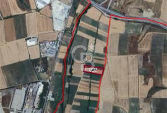 Edirne Merkez Havsa Yoluna 150 Metre Mesafede Satılık Tarla - 1 - 325723