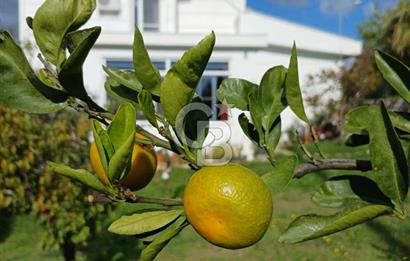 SEFERİHİSAR ULAMIŞ’TA | MÜSTAKİL TAPULU | 750 m² ARSA İÇİNDE | 3+1 (5+1’e UYGUN) VİLLA