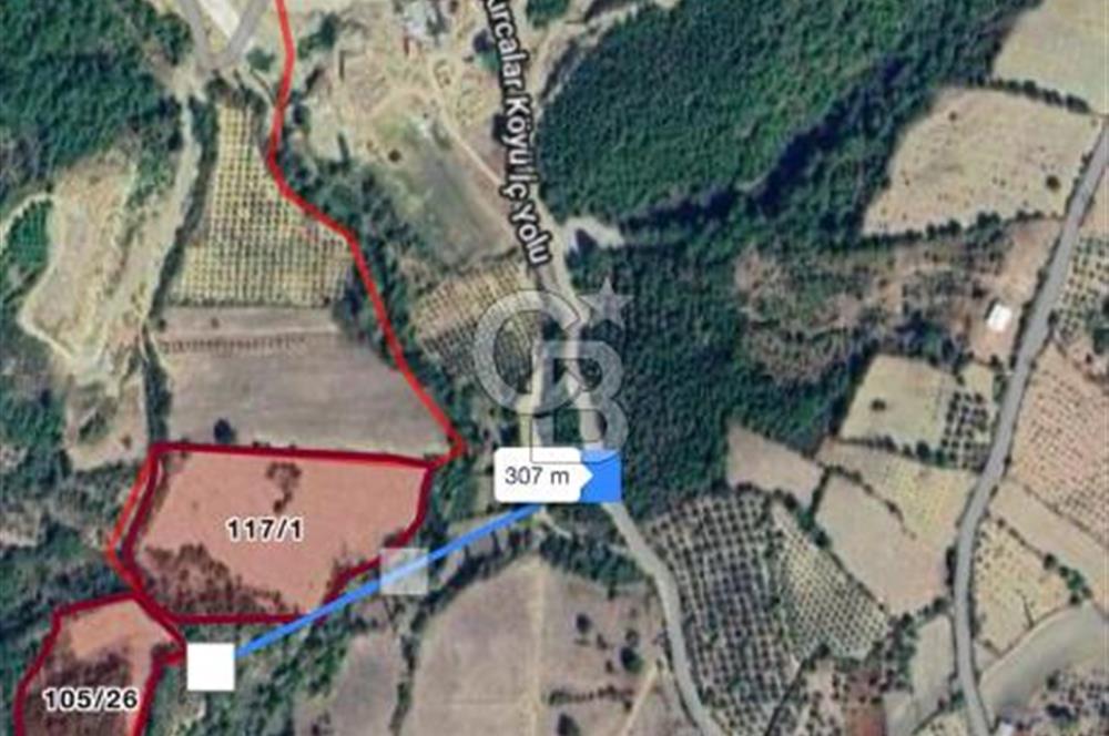 Bergamada köye 200 m mesafede şahane çiftlik arazisi