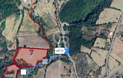 Bergamada köye 200 m mesafede şahane çiftlik arazisi