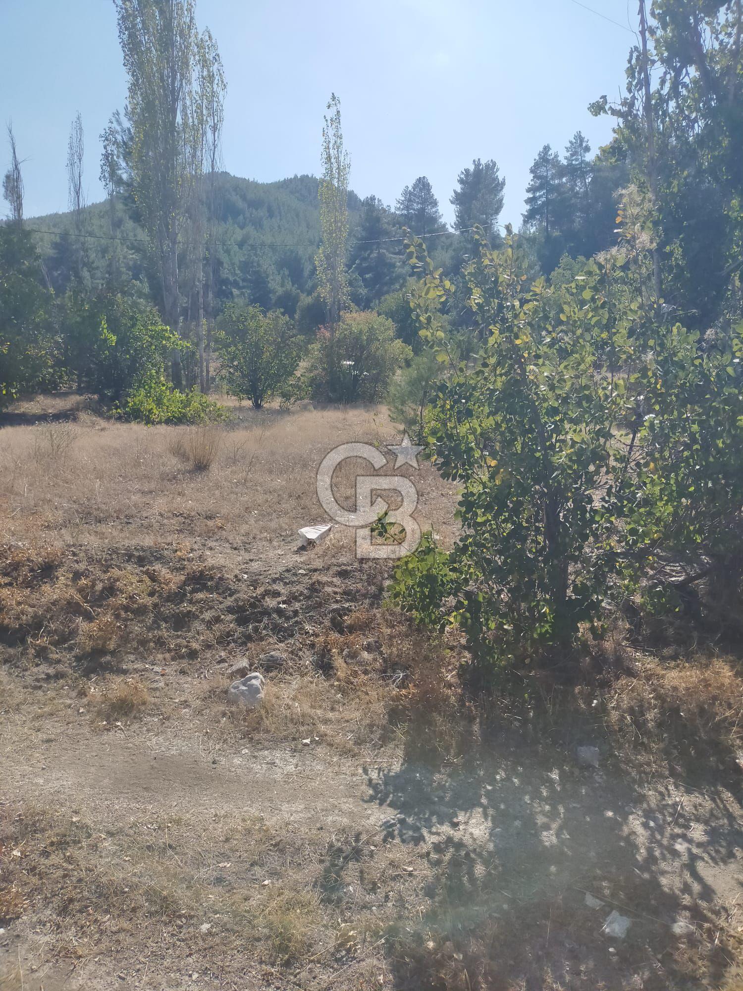 Acıpayam kanyonu ve fethiyeye yakın imarlı arsa
