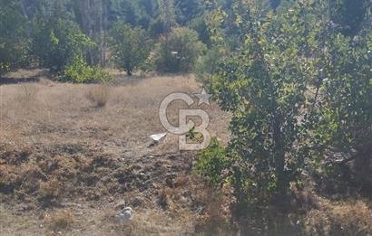 Acıpayam kanyonu ve fethiyeye yakın imarlı arsa