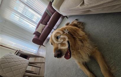 Ümraniye Armağanevler, Aspera Sitesi'nde Satılık 2+1 Daire