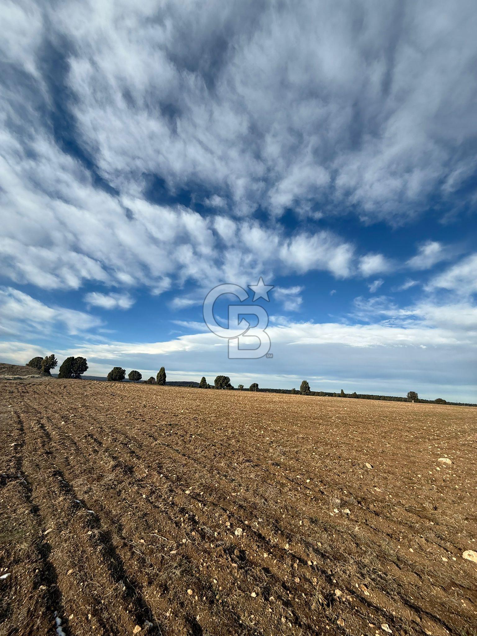 Kütahya merkez kırgıllı da osbye 5 dk mesafede dümdüz arazi