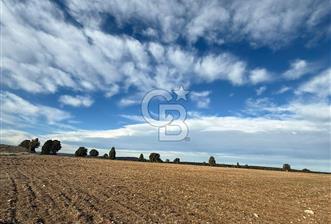 Kütahya merkez kırgıllı da osbye 5 dk mesafede dümdüz arazi - 2 - 325793