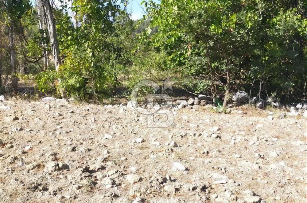 Acıpayam kanyonu ve fethiyeye yakın  imarlı arsa