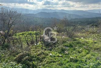 Savaştepe Aşağıdanişment köyiçi arsa - 1 - 325798