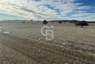 Kütahya merkez kırgıllı mah. Fırsat arazi - 1 - 325794