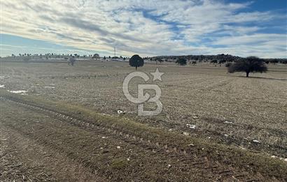 Kütahya merkez kırgıllı mah. Fırsat arazi