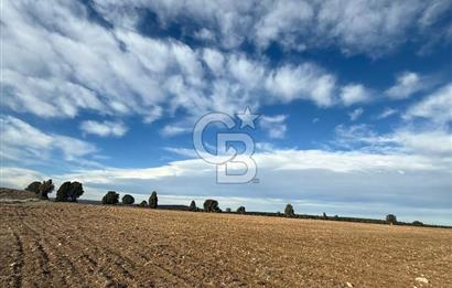 Kütahya merkez kırgıllı da osbye 5 dk mesafede dümdüz arazi