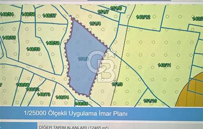 KOCAELİ KANDIRA KOCAKAYMAS MAHALLESİ'NDE 50.623 MT2 SATILIK