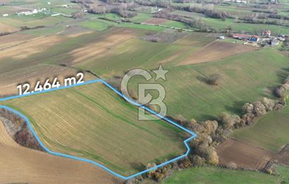 KOCAELİ KANDIRA KOCAKAYMAS MAHALLESİ'NDE 50.623 MT2 SATILIK