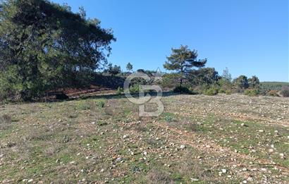 AKSU ORMAN İÇERISİNDE YEŞILKARAMAN'DA SATILIK TARLA