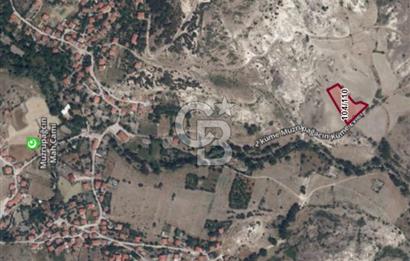 ÇAMLIDERE MUZRUPAĞCİN DE TEK TAPU YOL KENARI TARLA