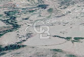 ÇAMLIDERE MUZRUPAĞCİN DE TEK TAPU YOL KENARI TARLA - 1 - 325812