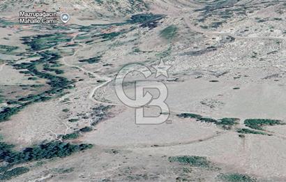 ÇAMLIDERE MUZRUPAĞCİN DE TEK TAPU YOL KENARI TARLA