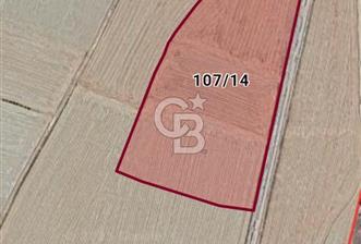 KORKUTELİ ÇUKURCA YATIRIMLIK SATILIK TARLA - 1 - 325806